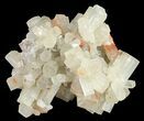 Natural Aragonite Clusters Wholesale Lot - Pieces #61654-2